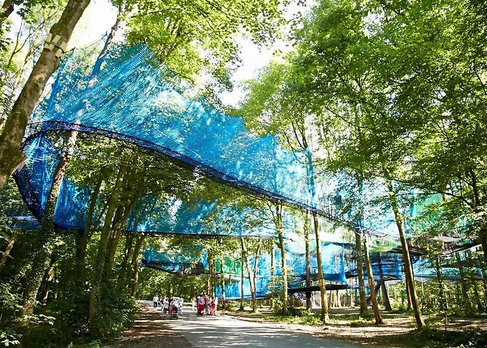La Cooconing Fresnicourt-le-Dolmen